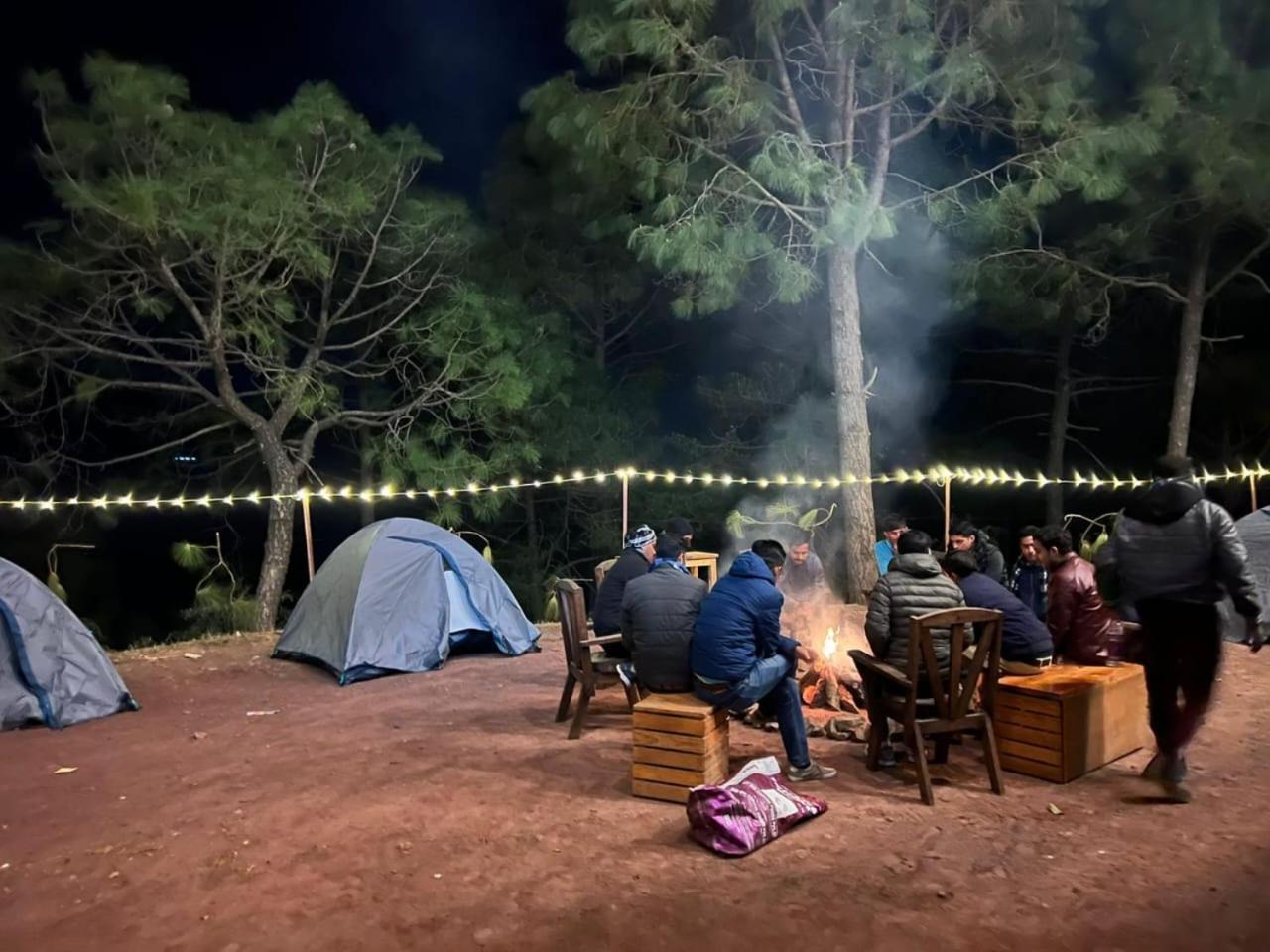 קסאולי Hotel Tribe View - Away From City Hustle !! Top Rated & Most Awarded Property !! A Peaceful Stay מראה חיצוני תמונה